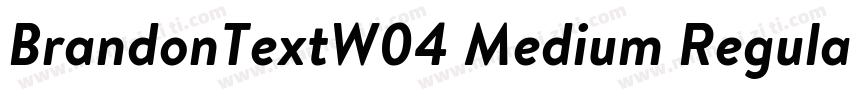 BrandonTextW04 Medium Regular字体转换